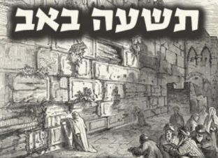 צילום מסך 2023-07-26 ב-10.49.07