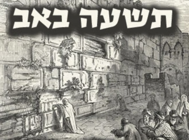 צילום מסך 2023-07-26 ב-10.49.07
