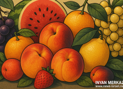 D99005AE-F986-4188-8746-CCDE64D5A7AC