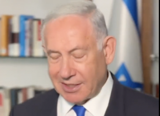 צילום מסך 2023-08-15 ב-12.00.20