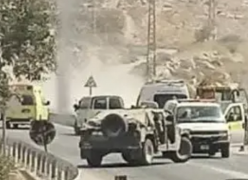 צילום מסך 2023-08-21 ב-11.59.08